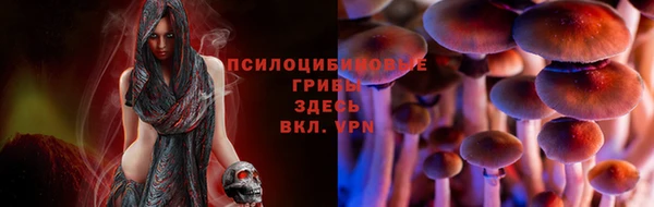 jwh Струнино