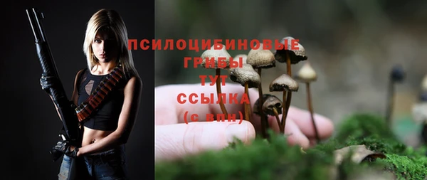jwh Струнино