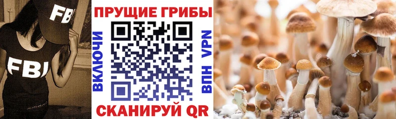 Псилоцибиновые грибы мухоморы  Новое Девяткино 